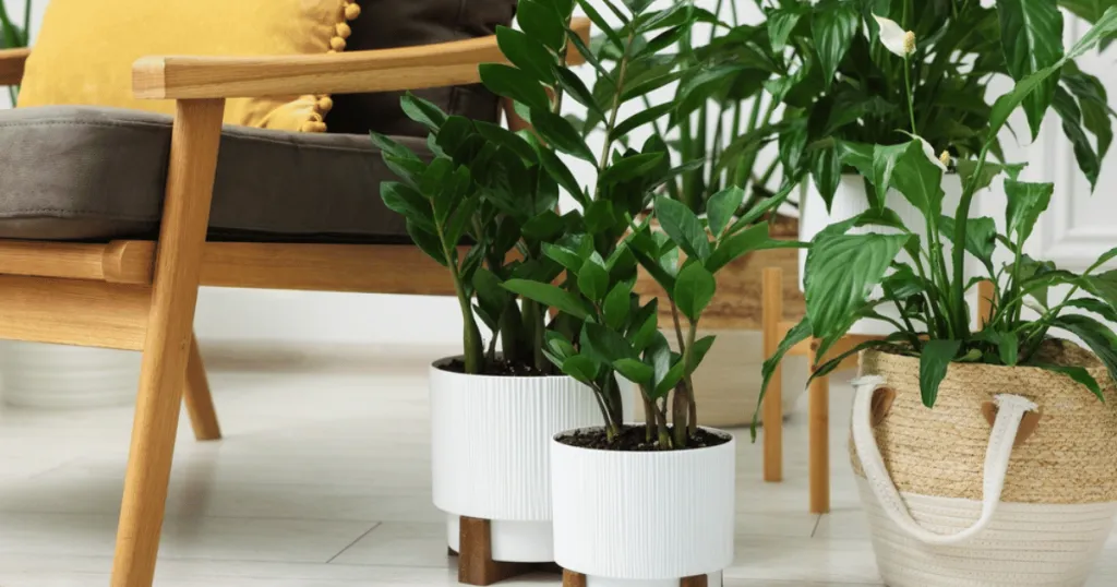 How watering needs change with pot material