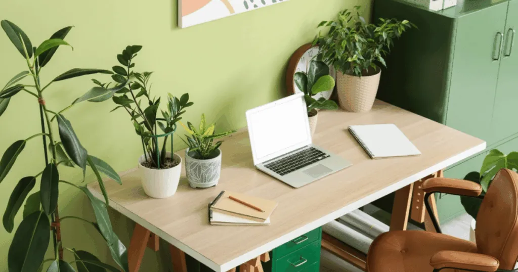 best desk plants