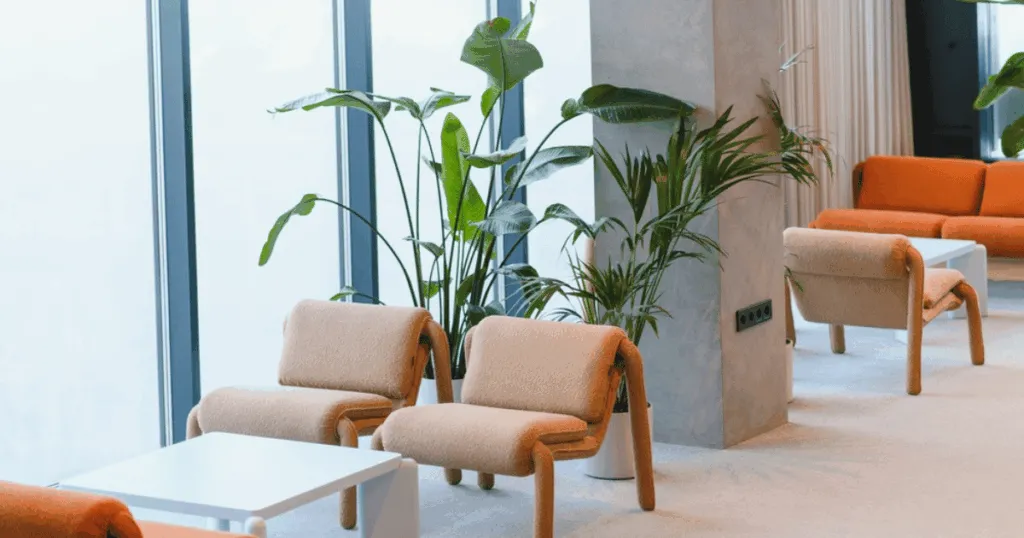 best plants for office lobby