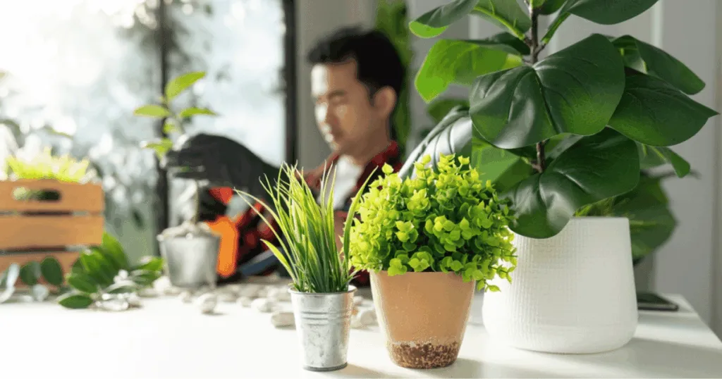best potted plants for office desk