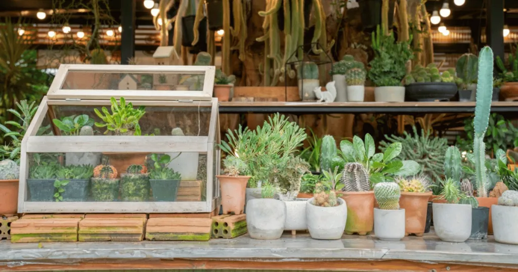 best small office plants for low light